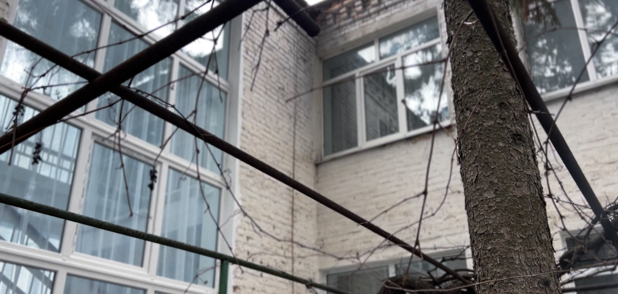 Мріємо про будинок і город поряд, – велика родина з Донеччини облаштовує життя на Кіровоградщині