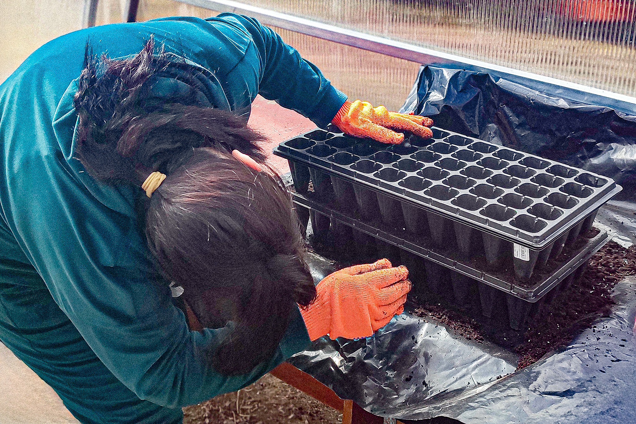 На Миколаївщині «Рокада» допомагає охочим започаткувати власну справу з вирощування розсади